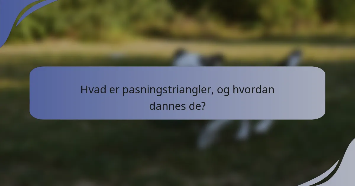 Hvad er pasningstriangler, og hvordan dannes de?